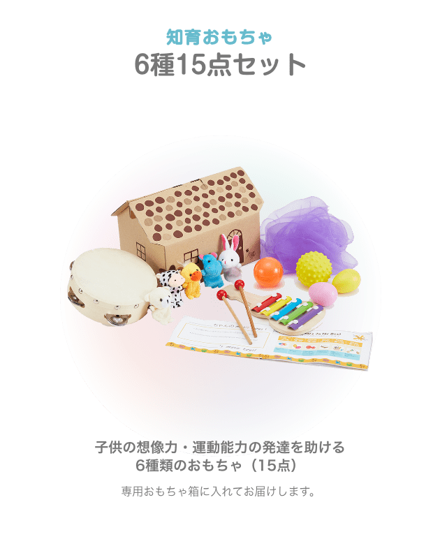 知育おもちゃ 6種15点セット 子供の想像力・運動能力の発達を助ける 6種類のおもちゃ（15点） 専用おもちゃ箱に入れてお届けします。