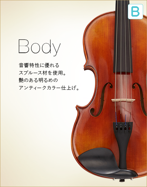 B  Body　音響特性に優れるスプルース材を使用。艶のある明るめのアンティークカラー仕上げ